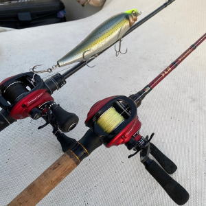 ビッグペンシル・ビッグベイトシーバスゲームをピュアフィッシングの