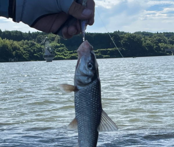 高滝湖10